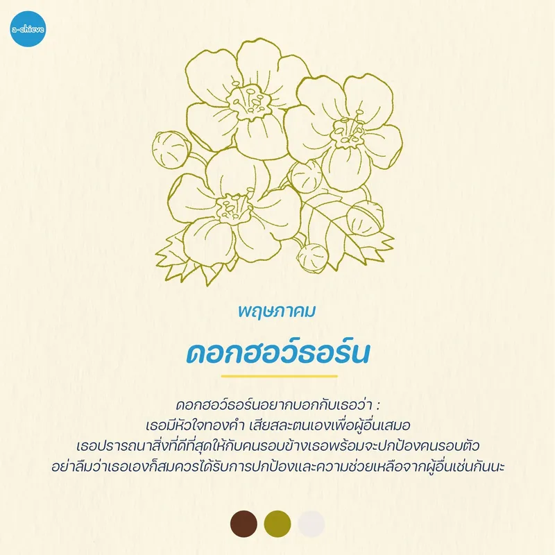 รูปประกอบ: ให้ดอกไม้ทำนายกัน