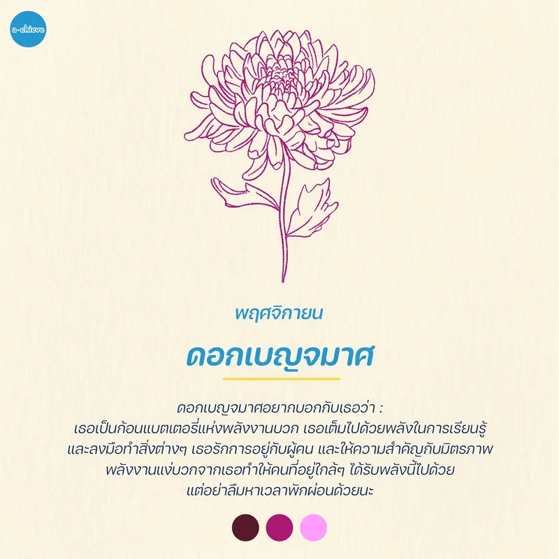 รูปประกอบ: ให้ดอกไม้ทำนายกัน